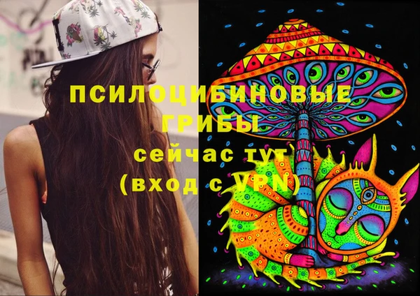 PSILOCYBIN Белокуриха